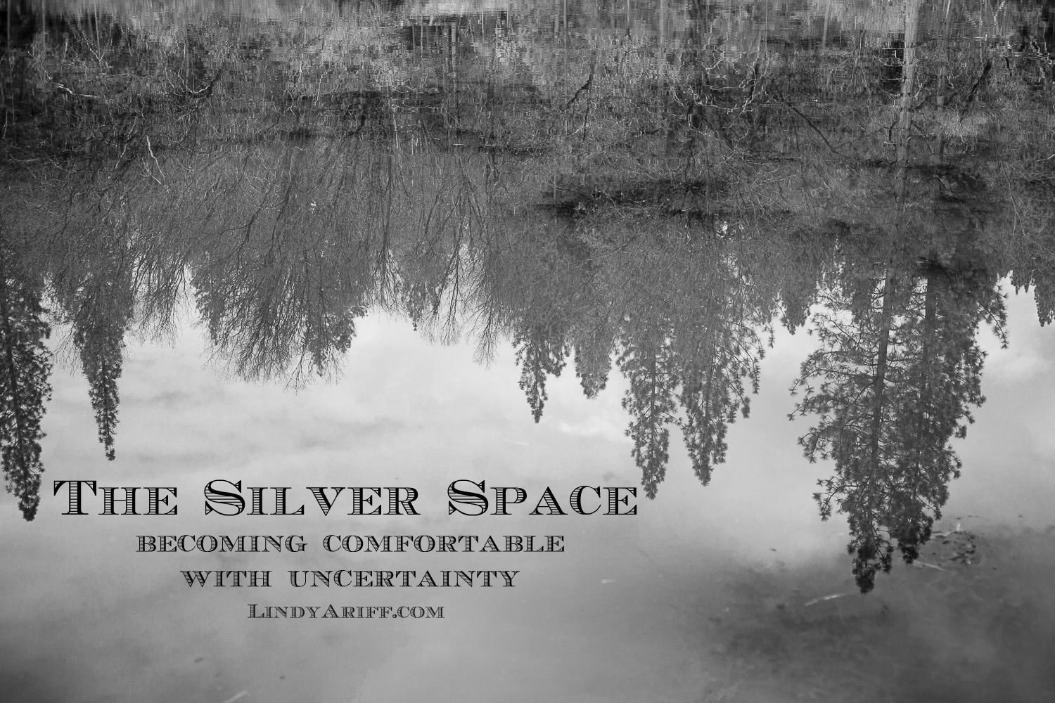 The Silver Space