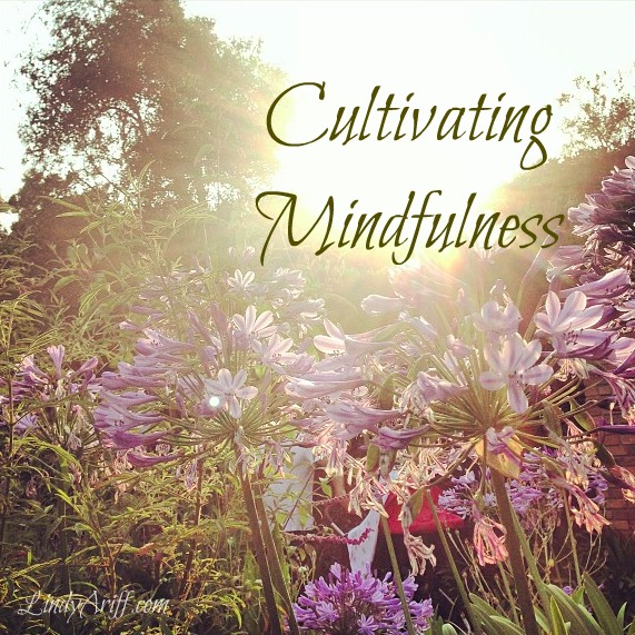 Cultivating Mindfulness