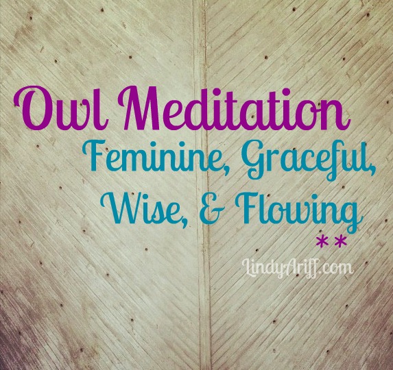 Owl Meditation