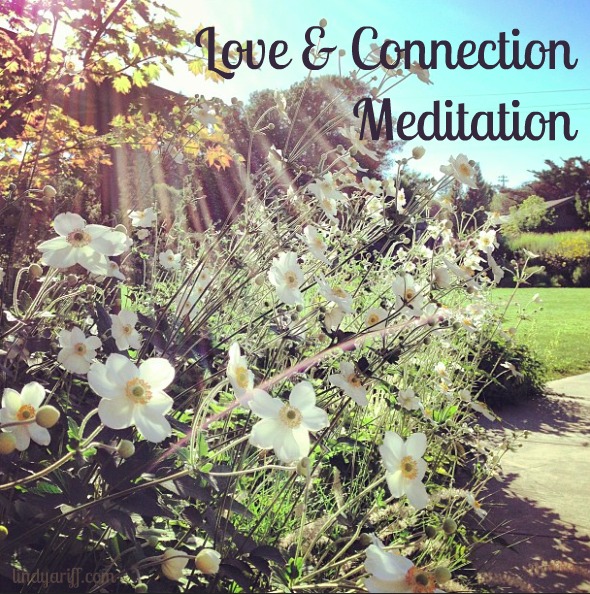 Love & Connection Meditation
