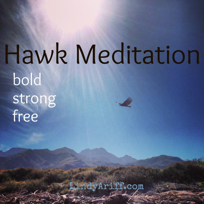Hawk Meditation