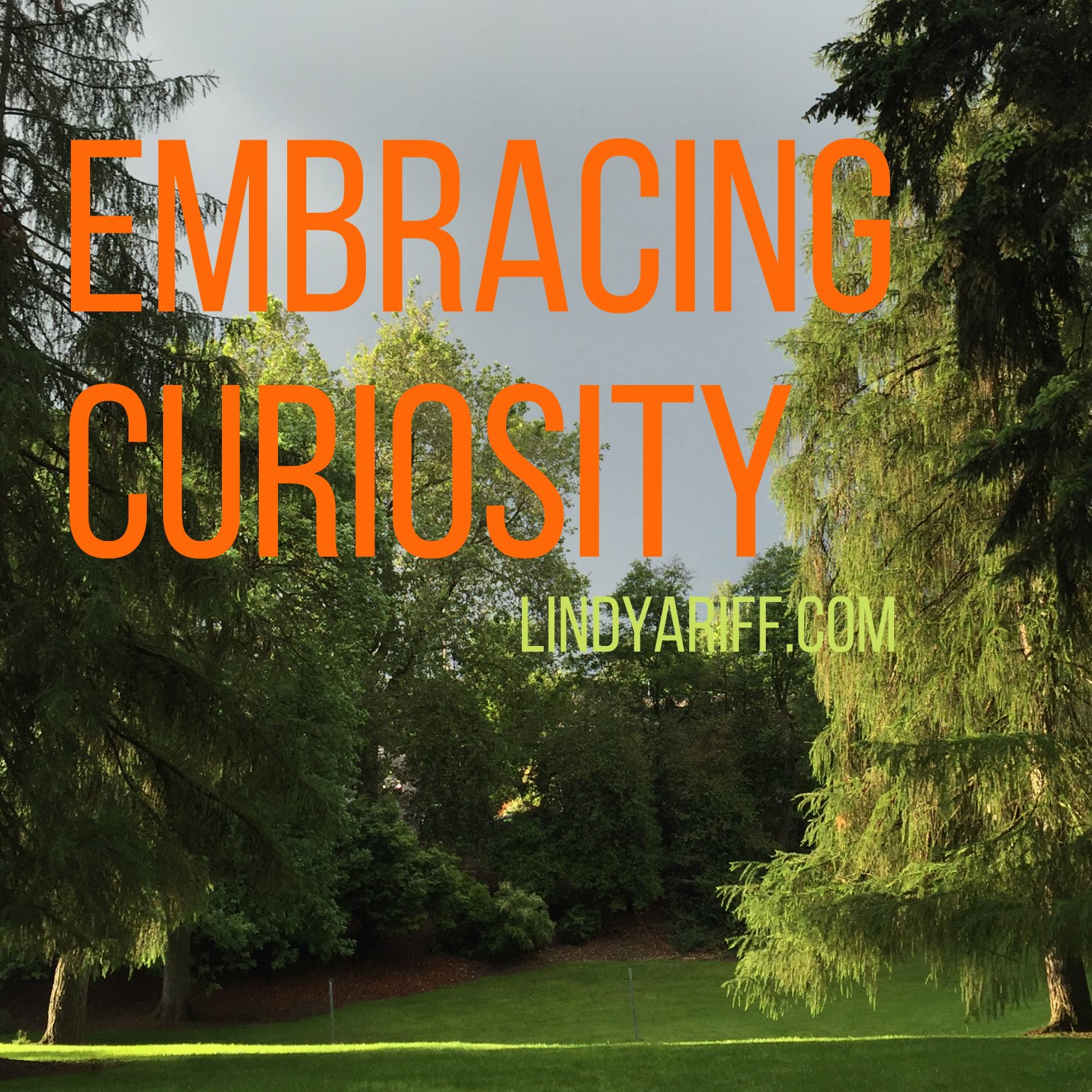Embracing Curiosity