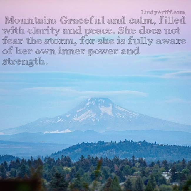 Mountain: Weathering the Storm