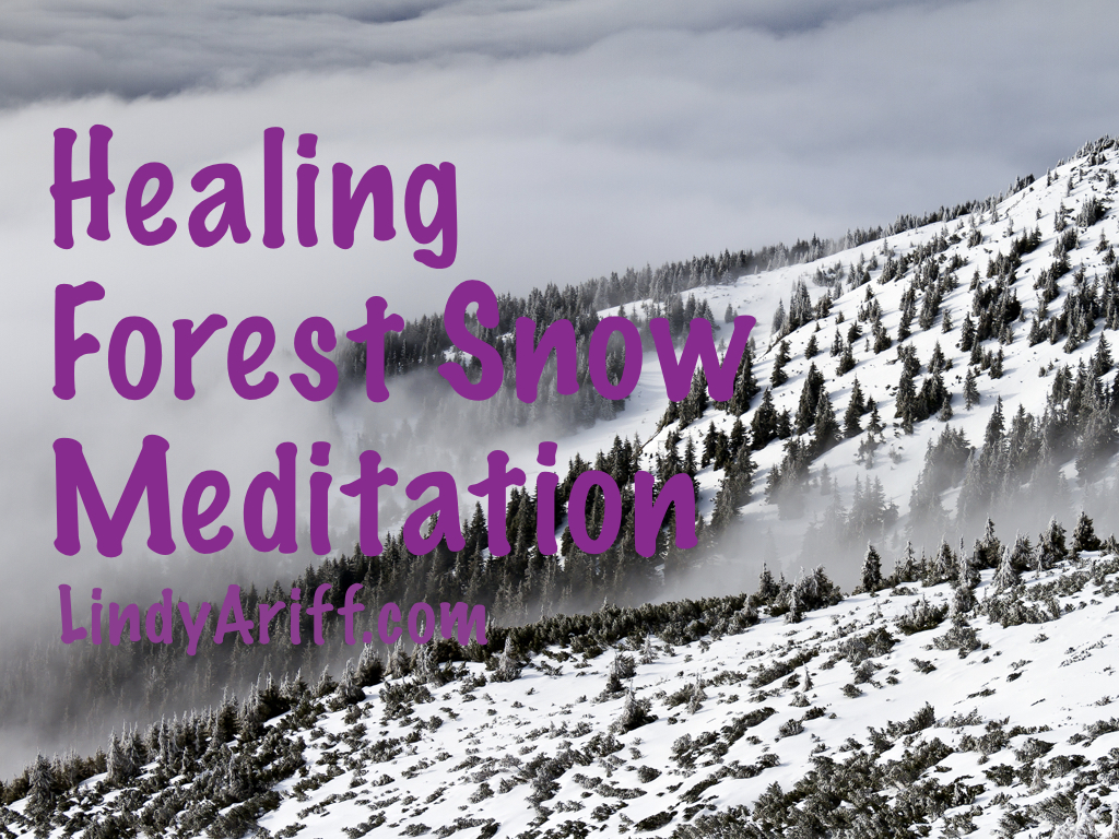 Forest Snow Meditation