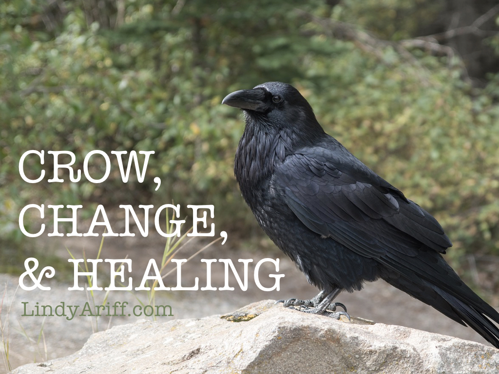Crow, Change, and Healing